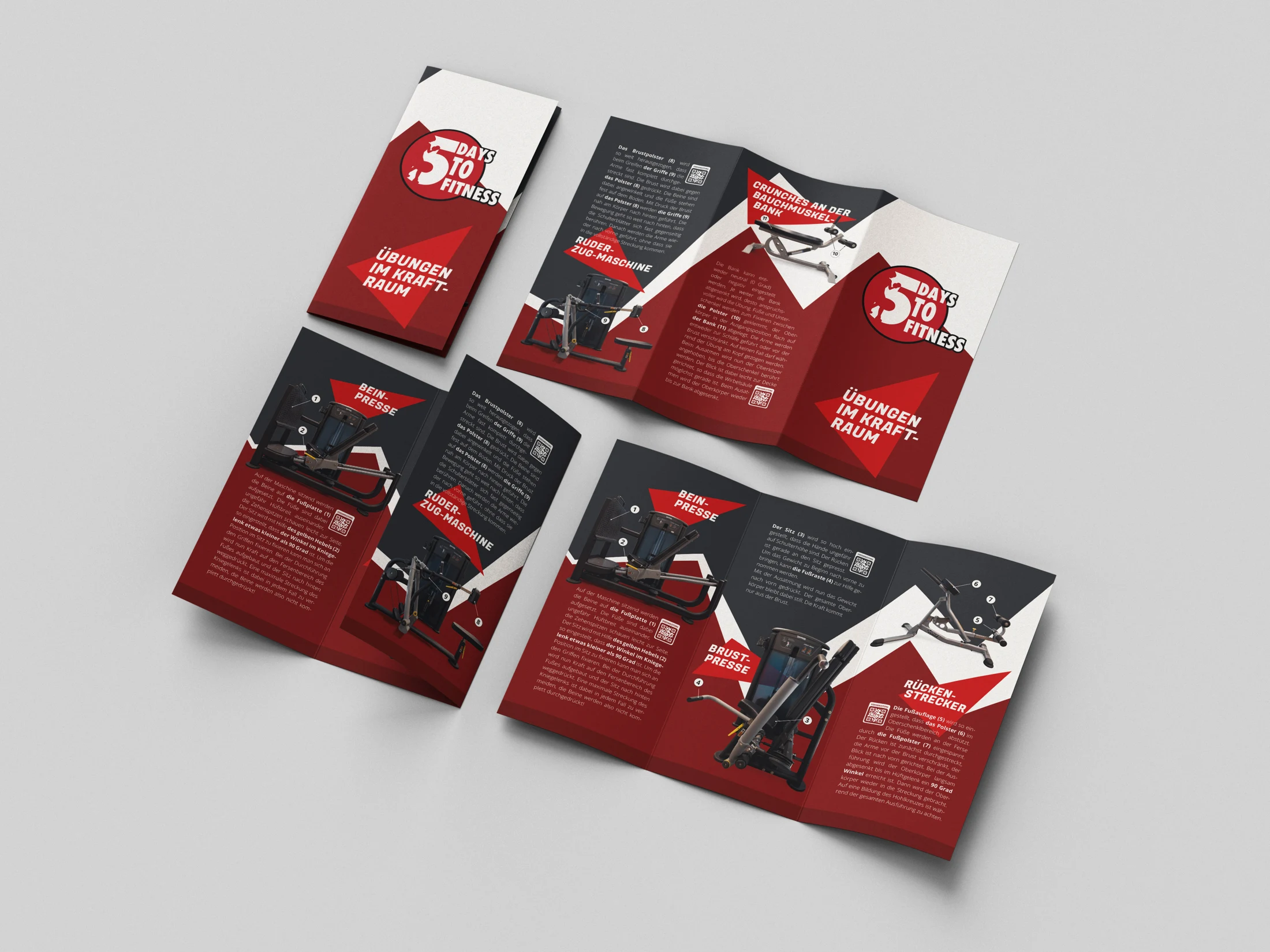 Five Days to Fitness – Crossmediales Design
